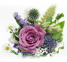 �Ⓚ���e�@�ɒቷ���e�@���e�@��@�N���C�I�T����